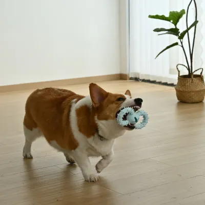 Four-Color Set Teeth Cleaning Beef Flavor TPR Dog Toy4
