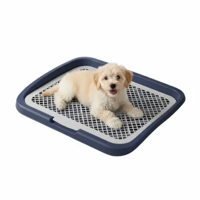 Puppy Potty Tray_1 Puppy Potty Tray_1