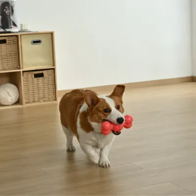 Four-Color Mixed Set Teeth Cleaning Bone Style TPR Dog Toy4