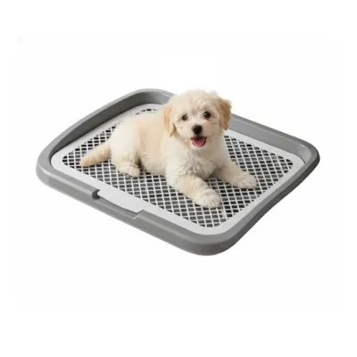 Puppy Potty Tray_3