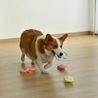 Four-Color Set Teeth Cleaning Beef Flavor TPR Dog Toy3