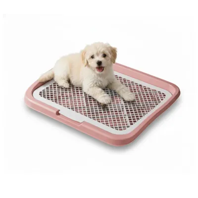 Puppy Potty Tray_4