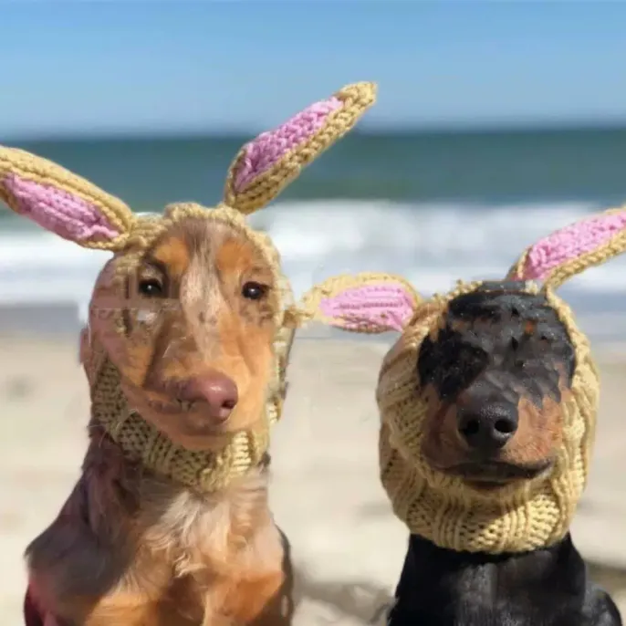 Pet Easter Hat (5)