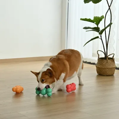 Four-Color Mixed Set Teeth Cleaning Bone Style TPR Dog Toy3