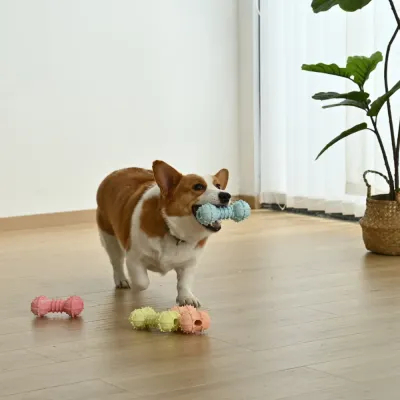 Four-Color Mixed Set Beef Flavor Bone Style TPR Dog Toy