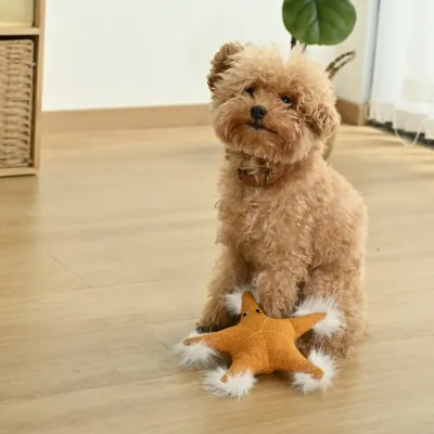 Summer Marine Life Series Starfish Style Squeaky Plush Dog Toy3 Summer Marine Life Series Starfish Style Squeaky Plush Dog Toy3