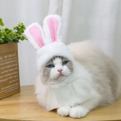 Pet Easter Hat (3) Pet Easter Hat (3)