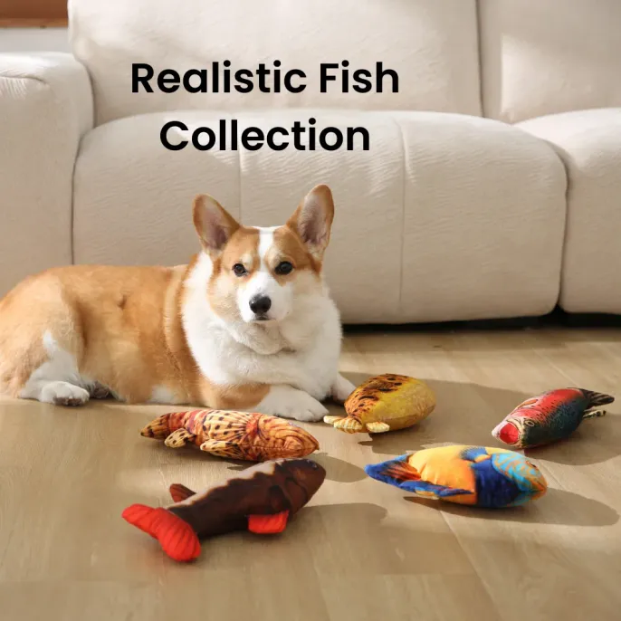 Realistic Triggerfish Style Durable Squeaky Plush Dog Toy3 Realistic Triggerfish Style Durable Squeaky Plush Dog Toy3