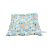 Spring-Summer Series Water Repellent Comfortable Small Pet Pad3