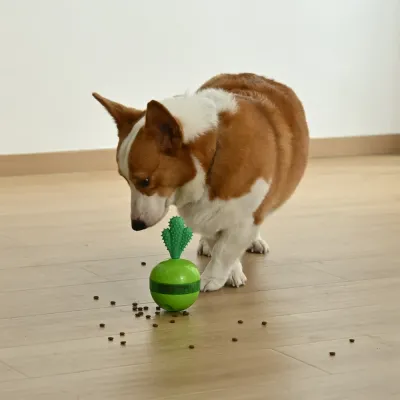 Detachable Green Radish Design Rotatable Treat Dispensing Dog Toy4