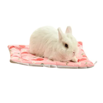 Spring-Summer Series Water Repellent Comfortable Small Pet Pad1 Spring-Summer Series Water Repellent Comfortable Small Pet Pad1