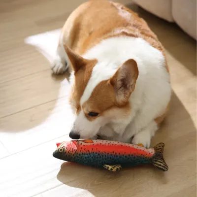 Realistic Rainbow Trout Style Durable Squeaky Plush Dog Toy2 Realistic Rainbow Trout Style Durable Squeaky Plush Dog Toy2