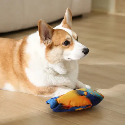 Realistic Triggerfish Style Durable Squeaky Plush Dog Toy2 Realistic Triggerfish Style Durable Squeaky Plush Dog Toy2