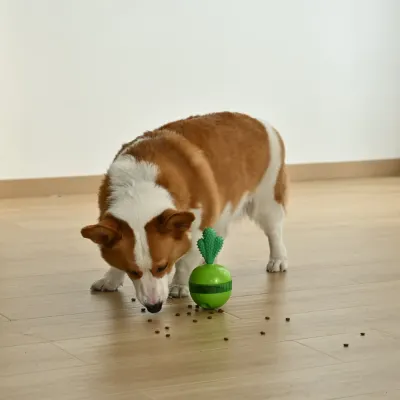 Detachable Green Radish Design Rotatable Treat Dispensing Dog Toy3