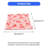 Spring-Summer Series Water Repellent Comfortable Small Pet Pad6