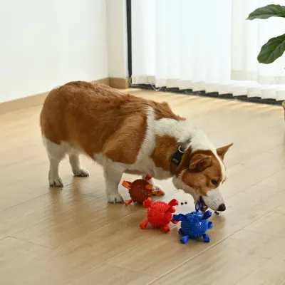 3-Color Mixed Treat Dispensing Design TPR Dog Toy with Bell3 3-Color Mixed Treat Dispensing Design TPR Dog Toy with Bell3