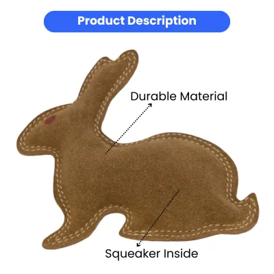 Durable Pet Squeaker Toy (2)