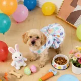 Pet Easter clothes (6)