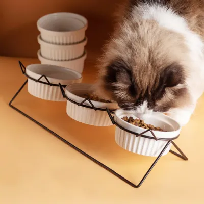 Elevated Triple Ceramic with Iron Stand Neck Protect Cat Bowls (2)
