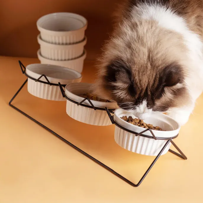Elevated Triple Ceramic with Iron Stand Neck Protect Cat Bowls (2) Elevated Triple Ceramic with Iron Stand Neck Protect Cat Bowls (2)