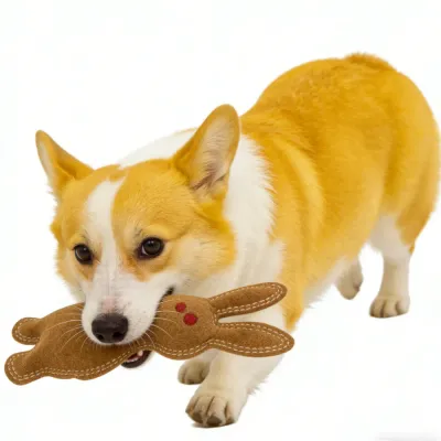 Durable Pet Squeaker Toy (4) Durable Pet Squeaker Toy (4)