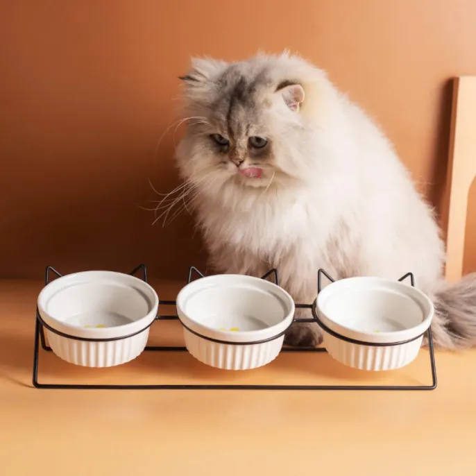 Elevated Triple Ceramic with Iron Stand Neck Protect Cat Bowls (1) Elevated Triple Ceramic with Iron Stand Neck Protect Cat Bowls (1)