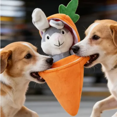 Soft Pet Dog Toy (4)