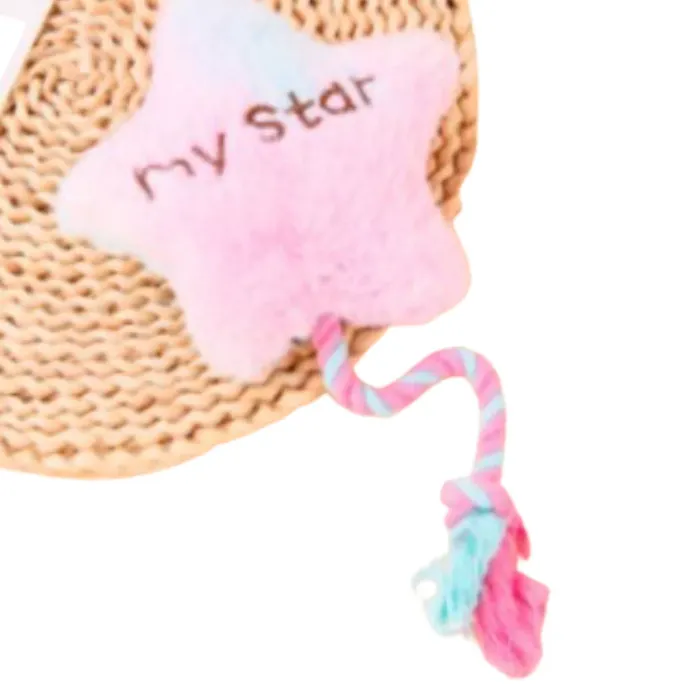 Cute Pet Squeaker Dog Toy (9) Cute Pet Squeaker Dog Toy (9)