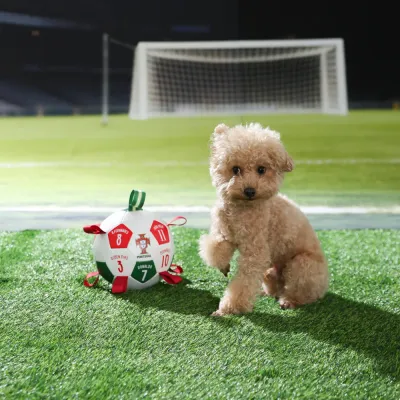Inflation Chew Resistant FPF Interactive Soccer Ball Toy (3) Inflation Chew Resistant FPF Interactive Soccer Ball Toy (3)
