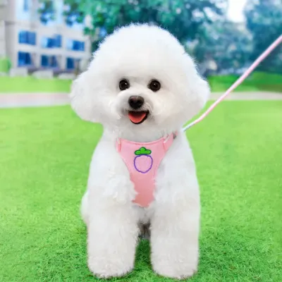Pet harness set (5)
