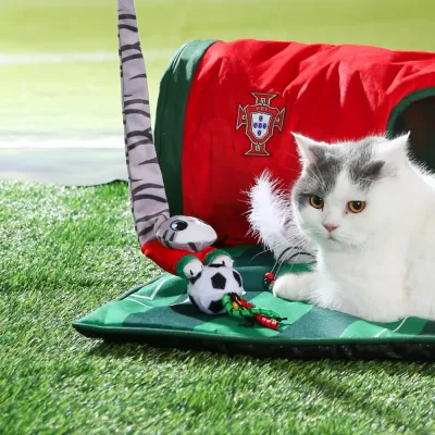 Cute Interactive Plush FPF Cat Toy - Ribbon Type (2)