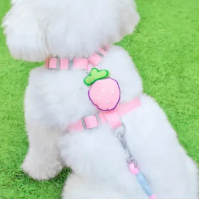 Pet harness set (6)