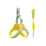 Pet harness set (1)