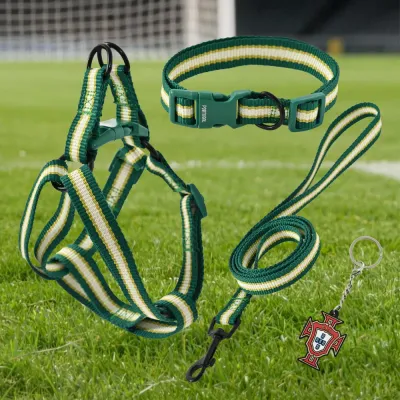 Flexible Polyester Made FPF Pet Leash and Harness and Collar Set (2)