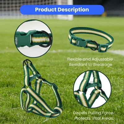 Flexible Polyester Made FPF Pet Leash and Harness and Collar Set (3)