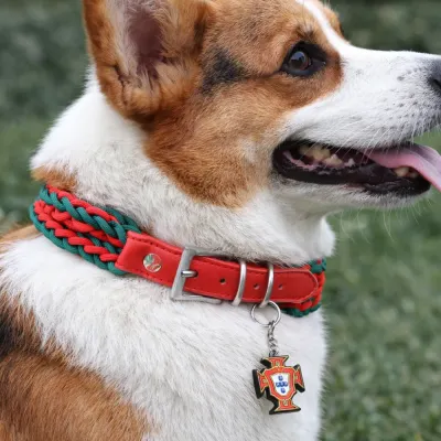 Durable Sporty and Comfortable Polyester FPF Woven Pet Collar (2)