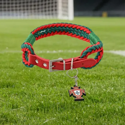 Durable Sporty and Comfortable Polyester FPF Woven Pet Collar (1)