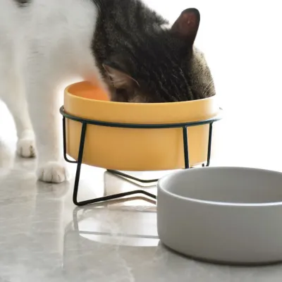 Elevated Yellow Ceramic Pet Bowl with Iron Stand Neck Protect & Anti-Vomiting Elevated Yellow Ceramic Pet Bowl with Iron Stand Neck Protect & Anti-Vomiting