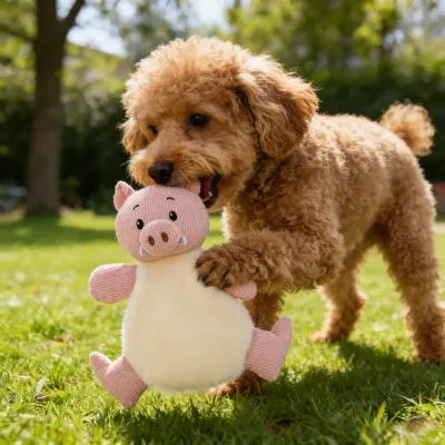 Pet toys (5) Pet toys (5)