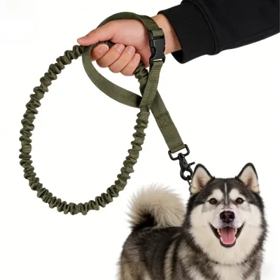 Pet leash (7)