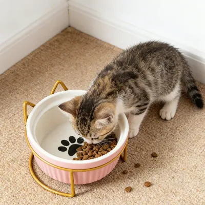 Elevated Ceramic  Cat Bowls Anti-Acne Food and Water Bowls with Black Stand
