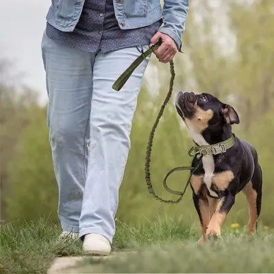 Pet leash (8)