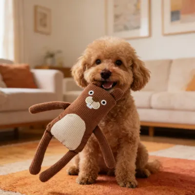 Pet toy (1)