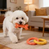 Pet TPR toy (9)