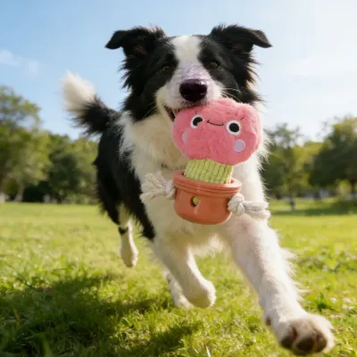 Pet flower toy (1)