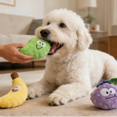 Pet fruit toy (1) Pet fruit toy (1)