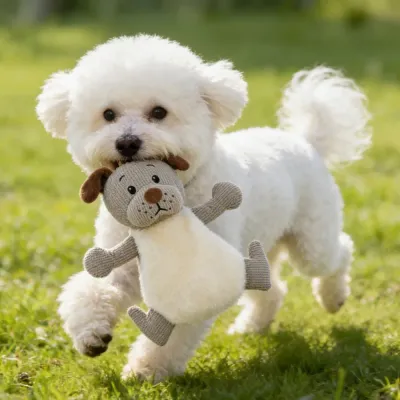 Pet plush toy  (8)