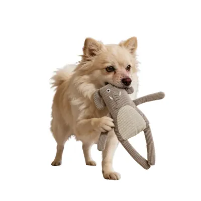 Pet toy (5)