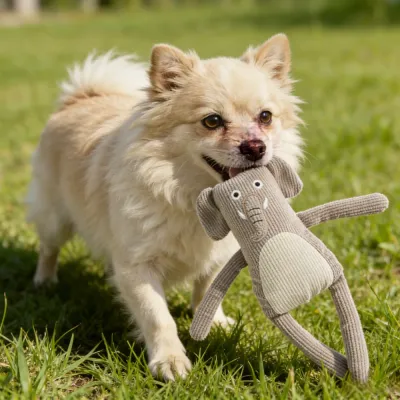 Pet toy (6)