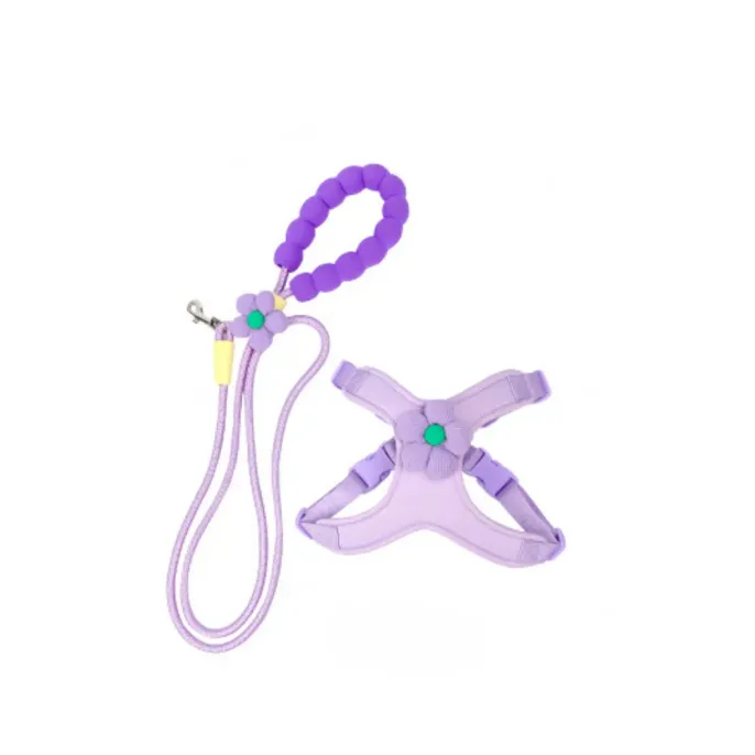 Pet harness set (2)